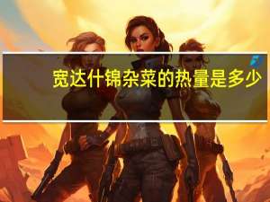 宽达 什锦杂菜的热量是多少