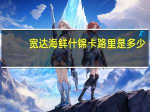 宽达 海鲜什锦卡路里是多少