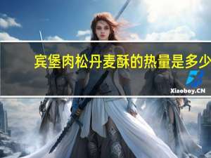 宾堡 肉松丹麦酥的热量是多少