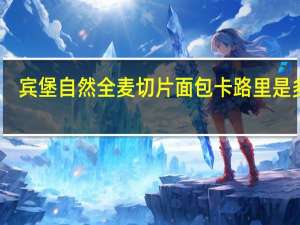 宾堡 自然全麦切片面包卡路里是多少