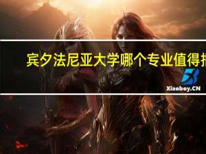 宾夕法尼亚大学哪个专业值得报