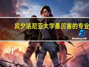 宾夕法尼亚大学最厉害的专业