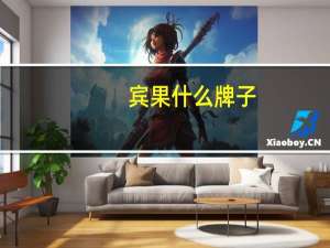 宾果什么牌子（宾果什么意思）