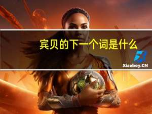 宾贝的下一个词是什么？