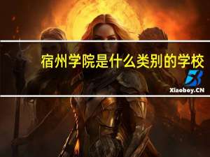 宿州学院是什么类别的学校