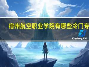 宿州航空职业学院有哪些冷门专业