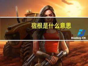 宿根是什么意思