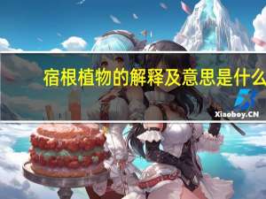 宿根植物的解释及意思是什么