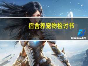 宿舍养宠物检讨书