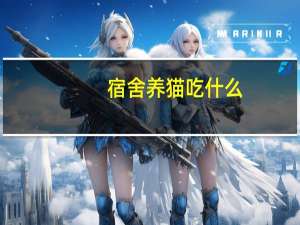 宿舍养猫吃什么