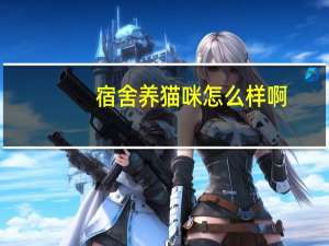 宿舍养猫咪怎么样啊