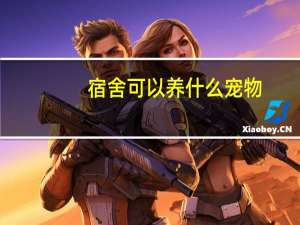 宿舍可以养什么宠物