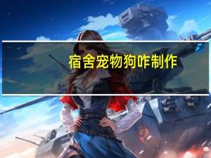 宿舍宠物狗咋制作
