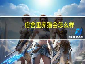 宿舍里养猫会怎么样