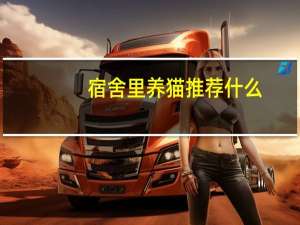 宿舍里养猫推荐什么