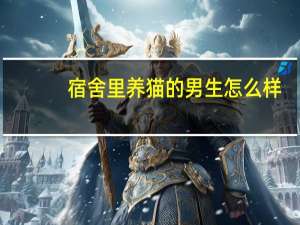 宿舍里养猫的男生怎么样