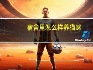 宿舍里怎么样养猫咪