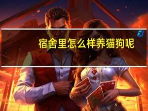 宿舍里怎么样养猫狗呢