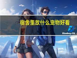 宿舍里放什么宠物好看