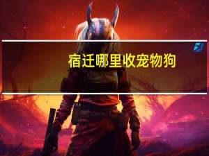 宿迁哪里收宠物狗