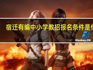 宿迁有编中小学教招报名条件是什么