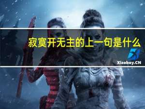 寂寞开无主的上一句是什么