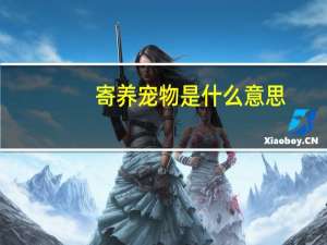 寄养宠物是什么意思