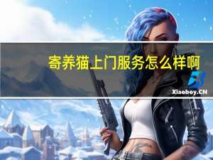 寄养猫上门服务怎么样啊