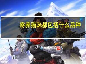 寄养猫咪都包括什么品种