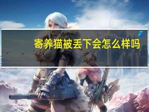 寄养猫被丢下会怎么样吗
