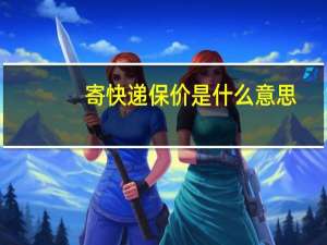 寄快递保价是什么意思