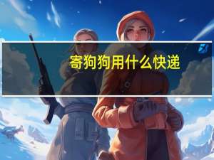寄狗狗用什么快递