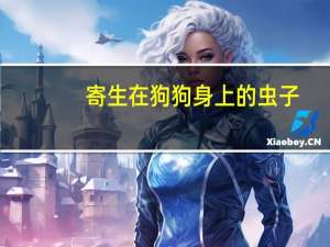 寄生在狗狗身上的虫子