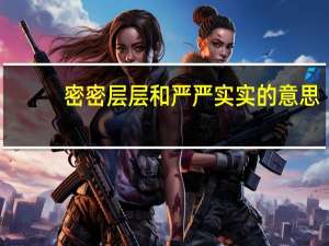 密密层层和严严实实的意思