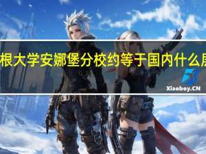 密歇根大学安娜堡分校约等于国内什么层次的大学？