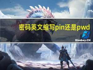 密码英文缩写pin还是pwd