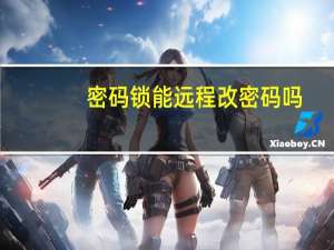 密码锁能远程改密码吗