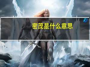 密茂是什么意思