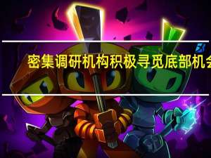 密集调研 机构积极寻觅底部机会