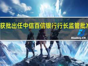 寇冠获批出任中信百信银行行长 监管批准任职资格