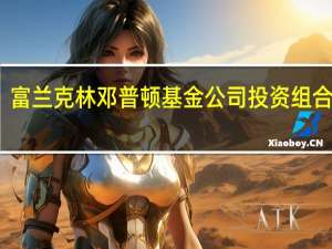 富兰克林邓普顿基金公司投资组合方式（富兰克林邓普顿基金）