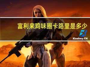 富利来 鸡味圈卡路里是多少