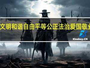 富强 文明 和谐 自由 平等 公正法治爱国敬业诚信友善