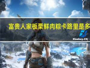 富贵人家 板栗鲜肉粽卡路里是多少