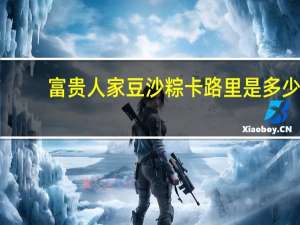 富贵人家 豆沙粽卡路里是多少