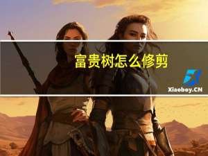 富贵树怎么修剪