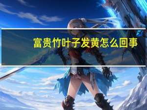富贵竹叶子发黄怎么回事