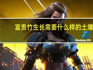 富贵竹生长需要什么样的土壤