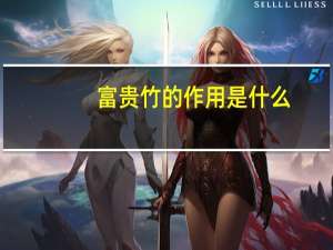 富贵竹的作用是什么