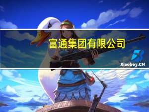 富通集团有限公司（北京富通维尔科技有限公司）